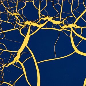 Effetto crackle