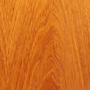 Tinta su Legno